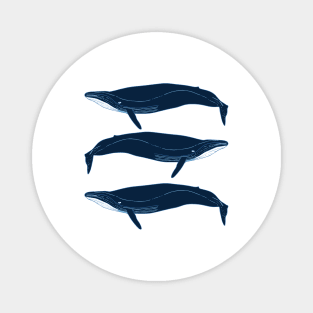 Cetaceans Magnet